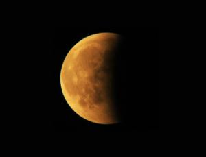 IMG_8522_3.jpg