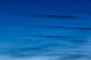 IMG_8631-1_40%.jpg