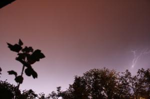 IMG_9238_1.jpg