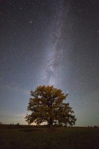 IMG_9865_forum.jpg