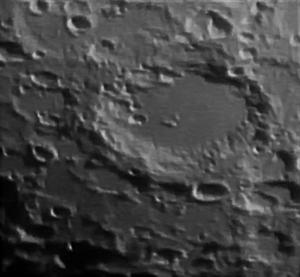 LONGOMONTANUS 23_12_12)59_92rRqa1q-1_65%.jpg