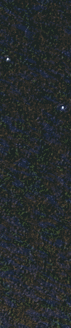 M20211030_201100_BYMINSK_24.gif
