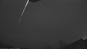 M20211031_055219_BYDERAZHNOE_30P.jpg