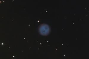m97_768.jpg