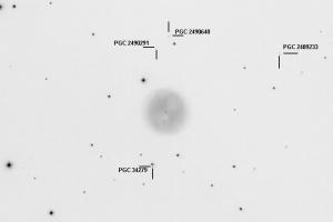 m97_768_143_negative.jpg