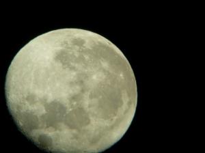 moon50x.jpg