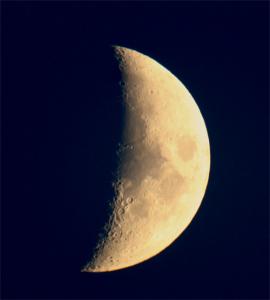 moon_07.08.08.jpg