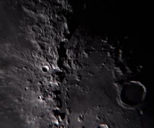 MOV09618.jpg