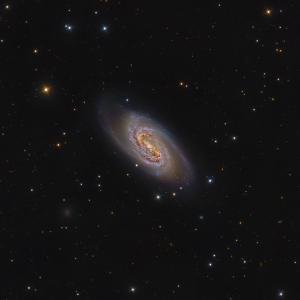 NGC2903-ioda-50%.jpg