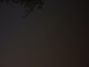 P1000082.jpg