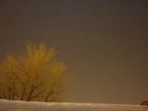P1000093.jpg