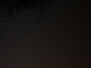 P1000098.jpg
