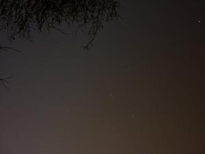 P1000099.jpg