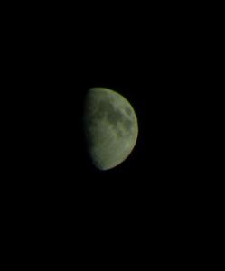 S6304062_cr.jpg