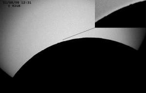 SS851695_1f.jpg