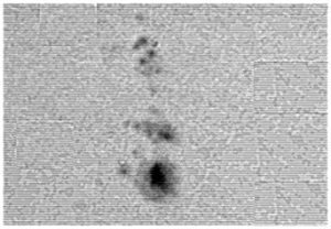 sun210512_barl2.PNG
