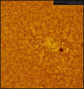 Sunspot_1193_20112004_web.jpg
